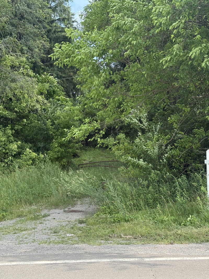 Sherwood Forest - Entrance As Of June 27 2025